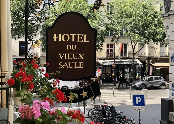 Hotel Du Vieux Saule Parijs
